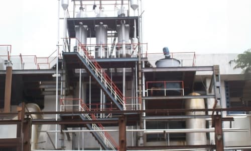 Molasses Conditioner