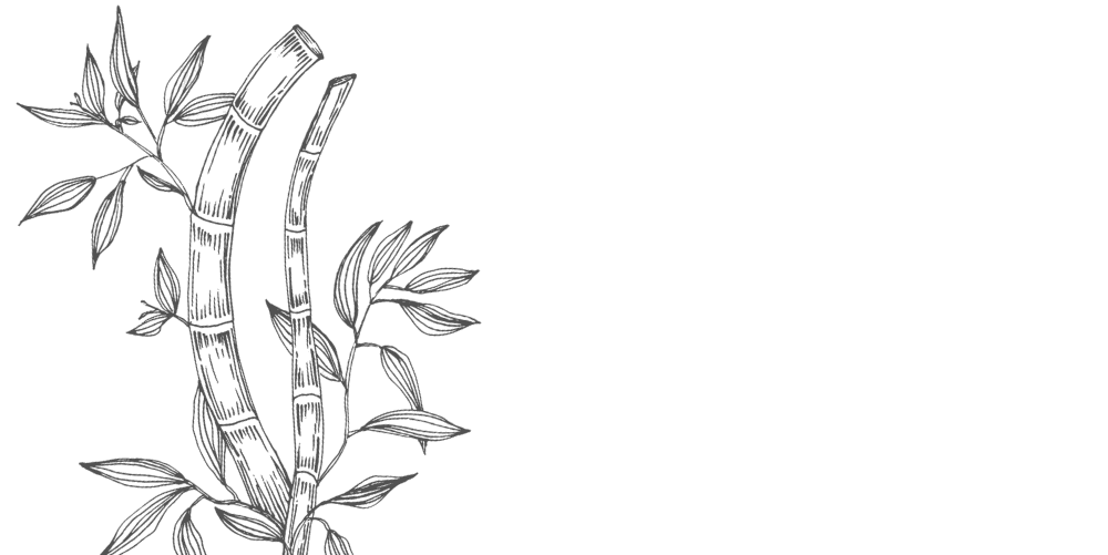 overview