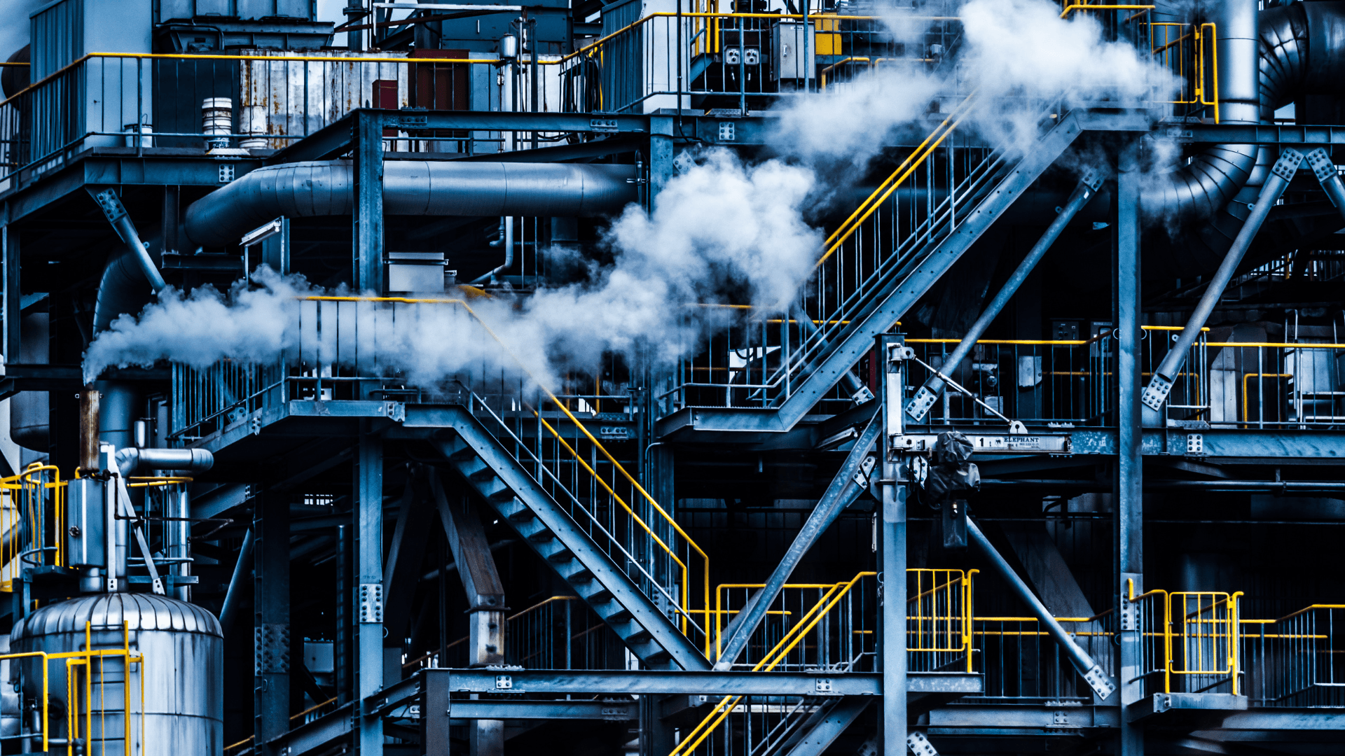 Automation & Efficiency: How SEDL is Transforming Industrial Operations