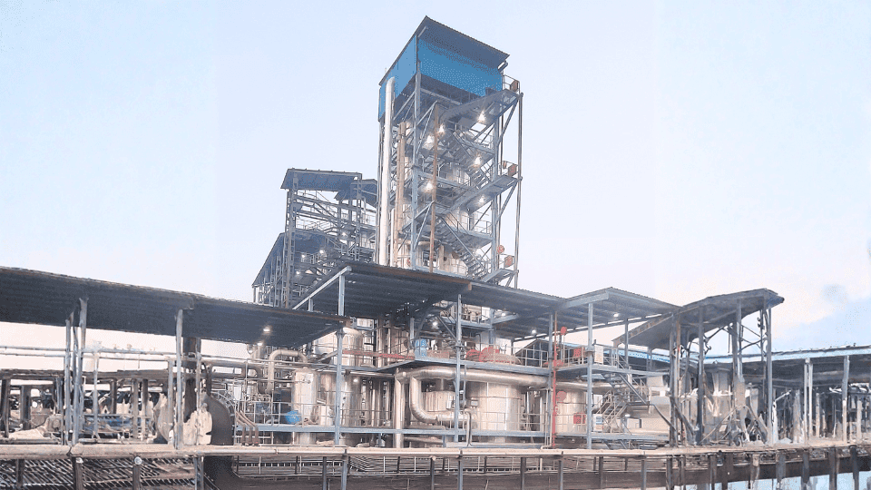 Sugar Mill Modern